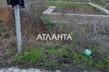 realty image 1