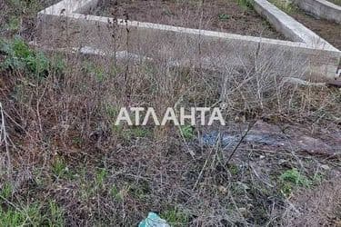 realty image 4