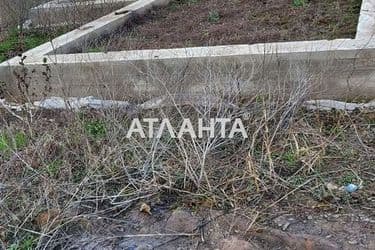 realty image 6