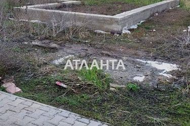 realty image 7