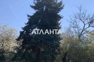 realty image 11