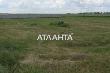 Landplot by the address st. Mira (area 20 acr) - Atlanta.ua - photo 10
