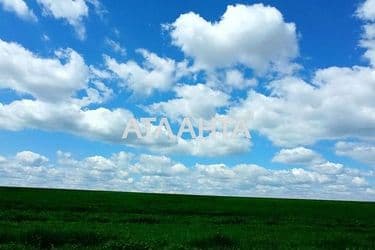 Landplot by the address st. Massiv 1 (area 350 acr) - Atlanta.ua - photo 6