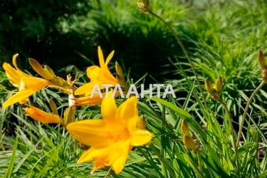 Участок по адресу ул. Парковая (площадь 5 сот) - Atlanta.ua - фото 7