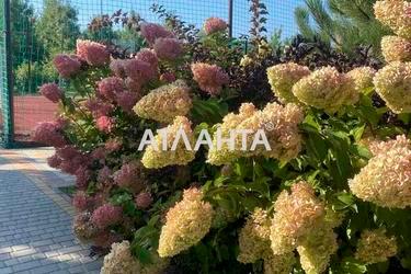 Landplot by the address (area 6,8 acr) - Atlanta.ua - photo 22