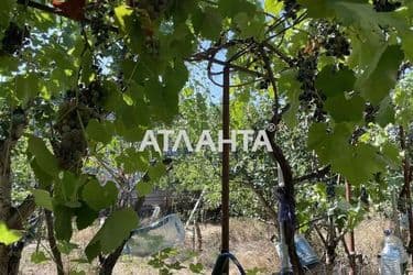 Dacha (area 65 m²) - Atlanta.ua - photo 24