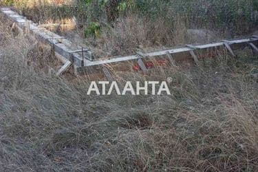 realty image 8