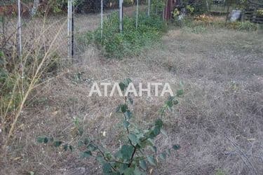 realty image 10