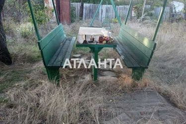 realty image 11