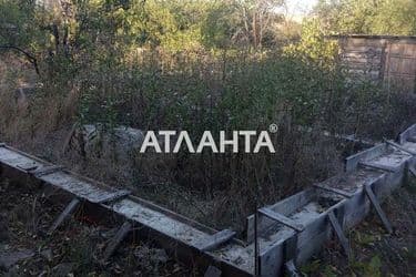 realty image 13