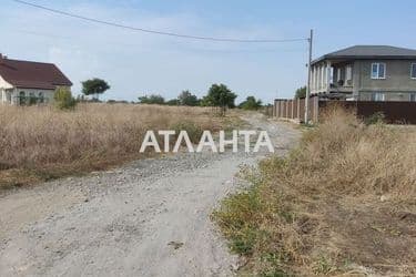 realty image 7