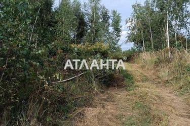 Landplot by the address (area 8 acr) - Atlanta.ua - photo 16
