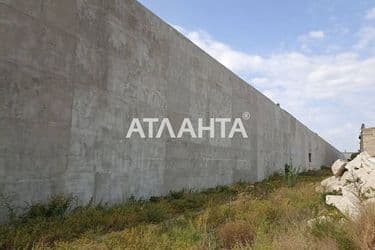 realty image 9