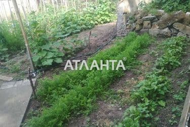 realty image 22