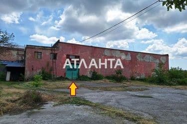 realty image 4