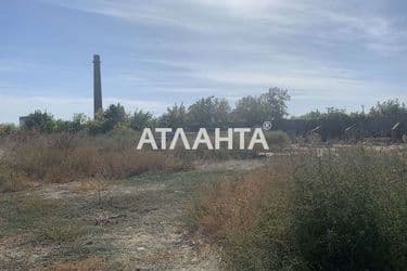 realty image 1