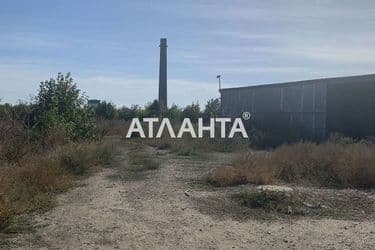 realty image 2