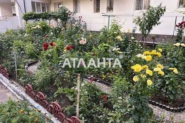realty image 12