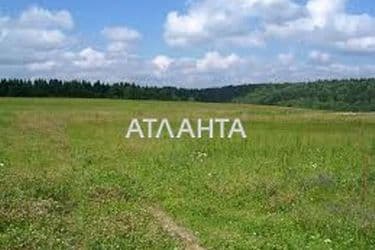 Landplot by the address st. Rechnaya (area 12,7 acr) - Atlanta.ua - photo 10