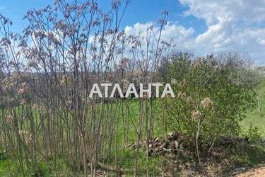 Ділянка за адресою Водяний пров. (площа 25 сот) - Atlanta.ua - фото 12