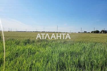 Landplot by the address st. Massiv 13 (area 178 acr) - Atlanta.ua - photo 6