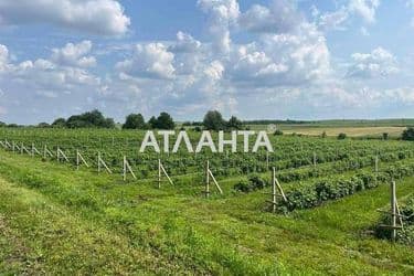Коммерческая недвижимость по адресу ул. Шевченко (площадь 1000 м²) - Atlanta.ua - фото 21
