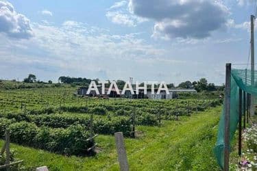 Коммерческая недвижимость по адресу ул. Шевченко (площадь 1000 м²) - Atlanta.ua - фото 24