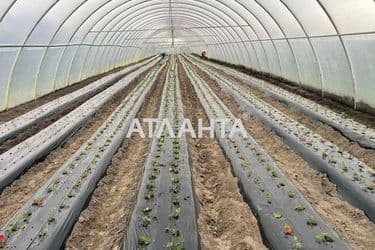 Коммерческая недвижимость по адресу ул. Шевченко (площадь 1000 м²) - Atlanta.ua - фото 27