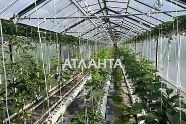 Коммерческая недвижимость по адресу ул. Шевченко (площадь 1000 м²) - Atlanta.ua - фото 29