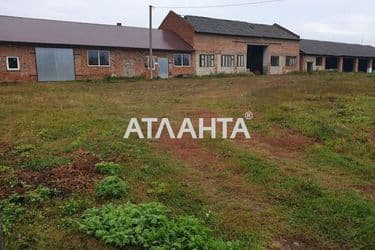 Коммерческая недвижимость по адресу ул. Головна (площадь 850 м²) - Atlanta.ua - фото 21