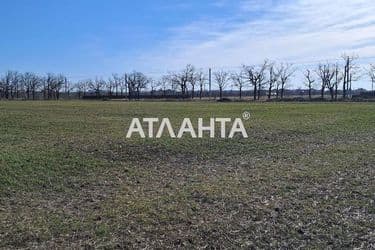 Landplot by the address (area 7,2 acr) - Atlanta.ua - photo 8