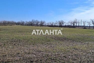 Landplot by the address (area 7,2 acr) - Atlanta.ua - photo 9