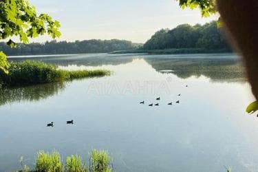 Будинок за адресою вул. Центральна (площа 100 м²) - Atlanta.ua - фото 27