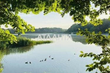 Будинок за адресою вул. Центральна (площа 100 м²) - Atlanta.ua - фото 28
