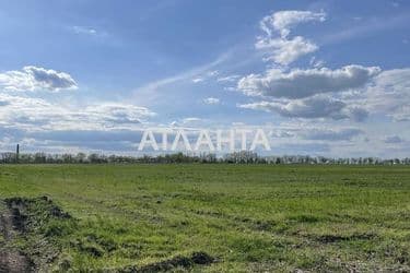 Landplot by the address (area 7,3 acr) - Atlanta.ua - photo 8