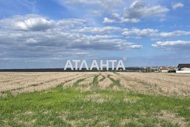 Landplot by the address (area 6,6 acr) - Atlanta.ua - photo 7