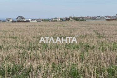 Landplot by the address (area 5 acr) - Atlanta.ua - photo 18