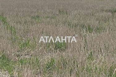 Landplot by the address (area 5 acr) - Atlanta.ua - photo 20