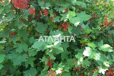 Будинок за адресою вул. Виноградна (площа 61 м²) - Atlanta.ua - фото 33