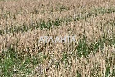 Landplot by the address (area 5 acr) - Atlanta.ua - photo 8