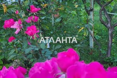 Об'єкт виведений в архів - Atlanta.ua - фото 56