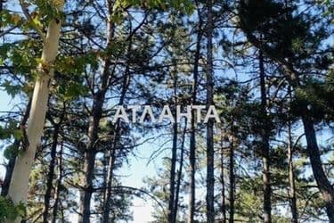 Landplot by the address st. Lenina (area 20 acr) - Atlanta.ua - photo 15