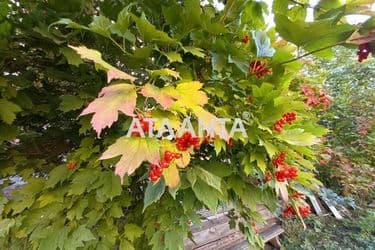 Landplot by the address st. Massiv 18 (area 4 acr) - Atlanta.ua - photo 10