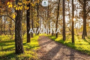 Landplot by the address st. Uyutnyy per (area 6,1 acr) - Atlanta.ua - photo 19