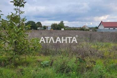 Landplot by the address (area 25 acr) - Atlanta.ua - photo 7