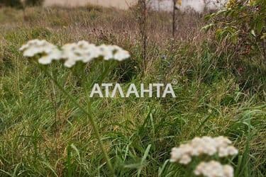 Landplot by the address st. Shevchenko (area 10 acr) - Atlanta.ua - photo 8