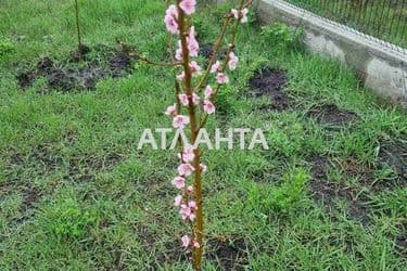 Landplot by the address st. 5 ya liniya (area 6,3 acr) - Atlanta.ua - photo 17