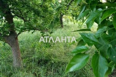 Landplot by the address st. Massiv 11 (area 3 acr) - Atlanta.ua - photo 8