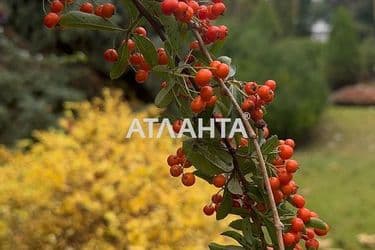 Landplot by the address st. Kordonnyy per (area 6,2 acr) - Atlanta.ua - photo 8