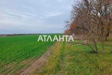 Участок (площадь 130 сот) - Atlanta.ua - фото 8